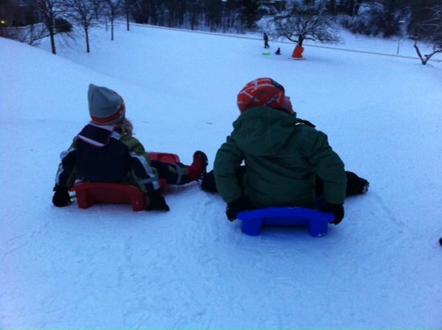 Pulkabacken är vinterns enda fördel