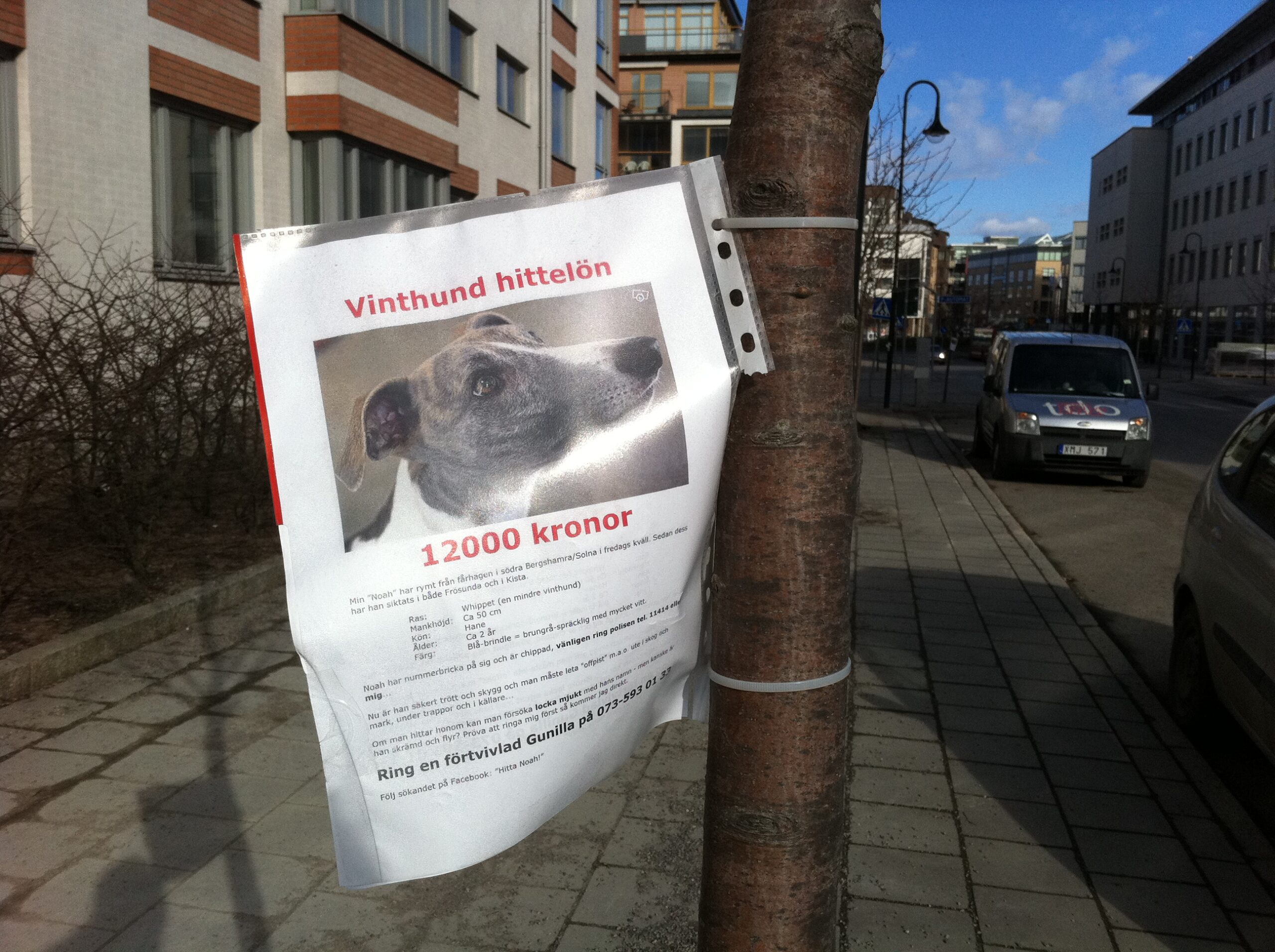 Dagens utflykter