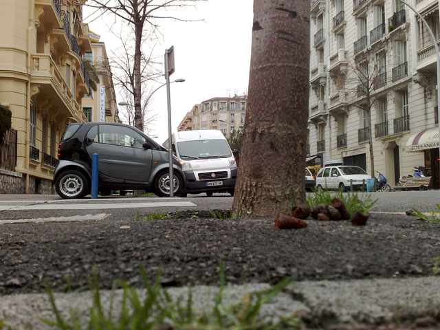 Hundbajs och parkeringsanarkister