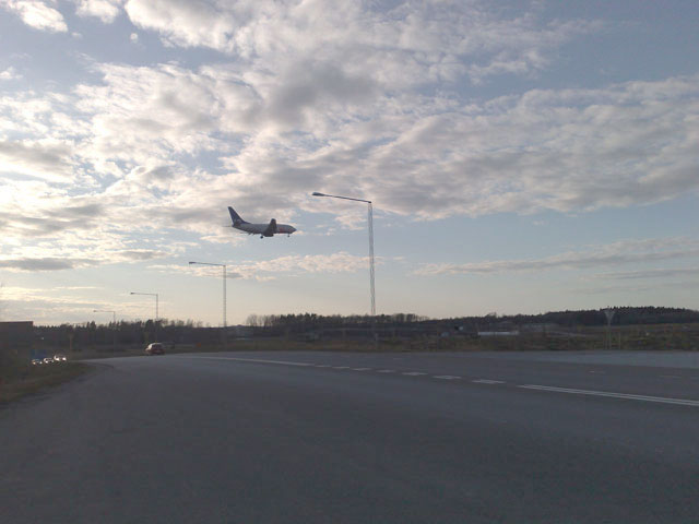 Kusinträff i skogen