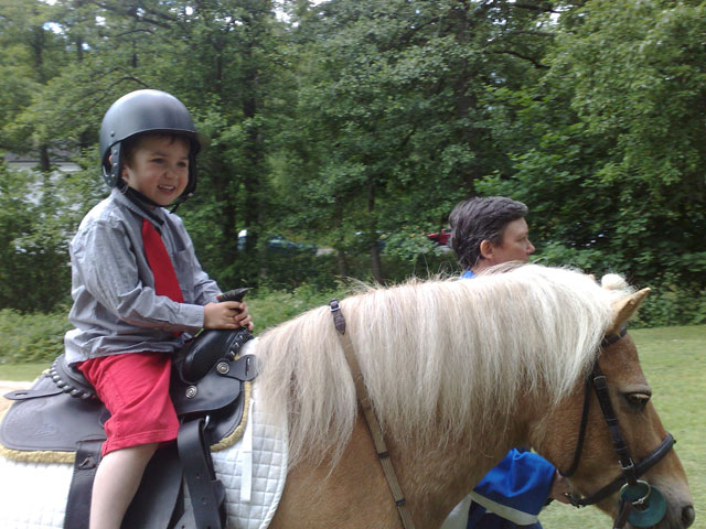 Midsommar är häst, sång och kaka