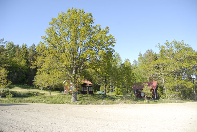 En källa att ösa livskraft ur