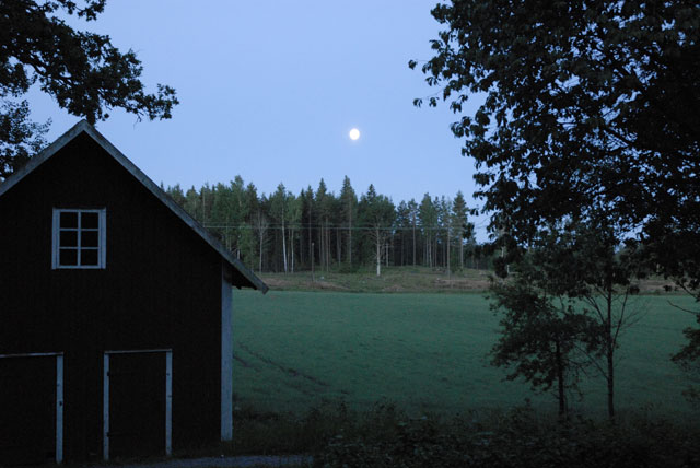 Vad är det som grymtar i månskenet