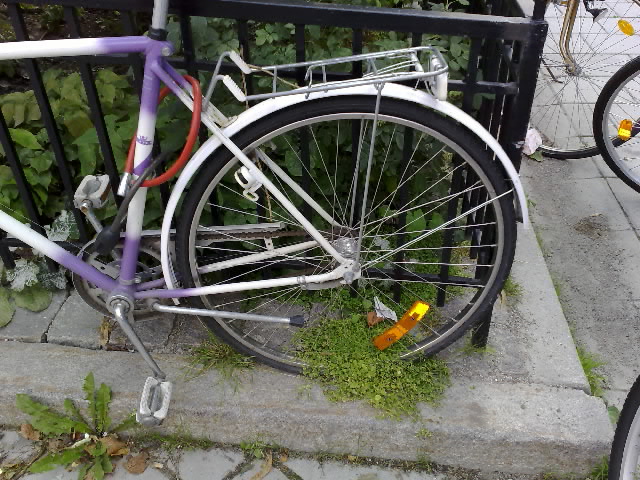 Ostulen cykel