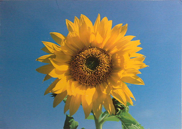 Let the sunshine in…
